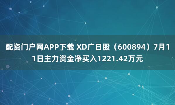 配资门户网APP下载 XD广日股（600894）7月11日主力资金净买入1221.42万元